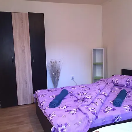 Vivaldi * 克卢日-纳波卡